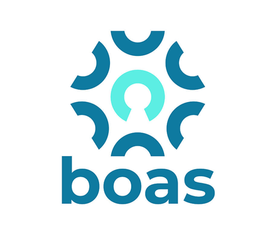 Logo BOAS actu