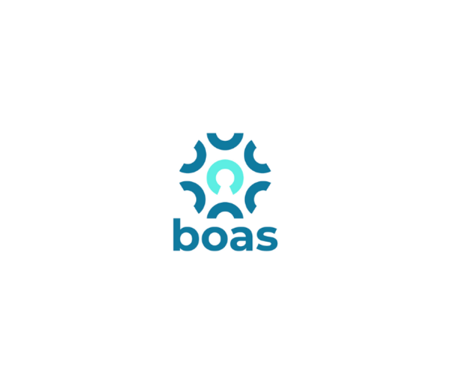 BOAS2
