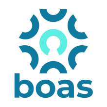 BOAS png